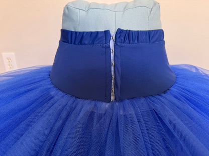Ballet Rehearsal Tutu | Royal Blue and White