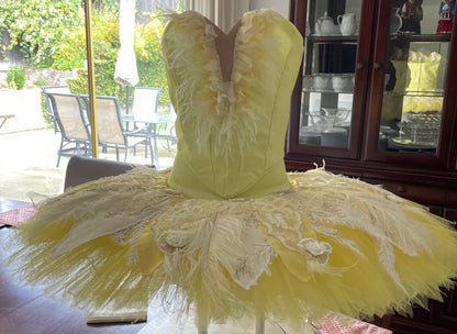 Classical Ballet Tutu